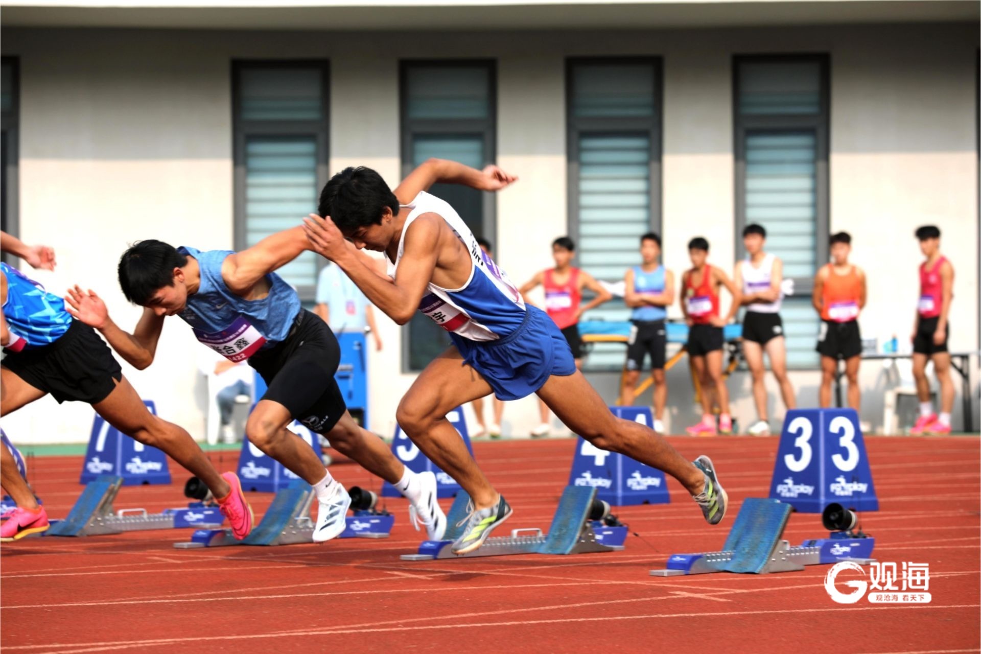 田径赛事精彩瞬间盘点,年度回顾震撼登场的简单介绍 田径赛事精彩瞬间盘点,年度回顾震撼登场的简单介绍