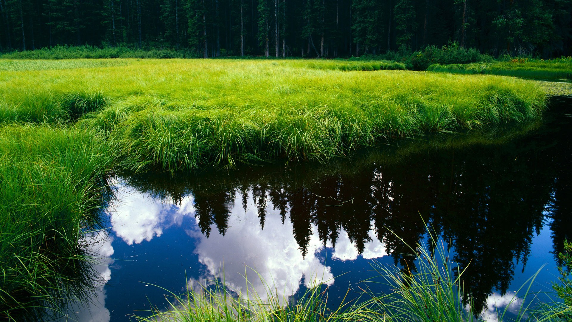 2026世界杯之夜,当拉梅洛让世界沉默,对手如何陷入无解的迷局