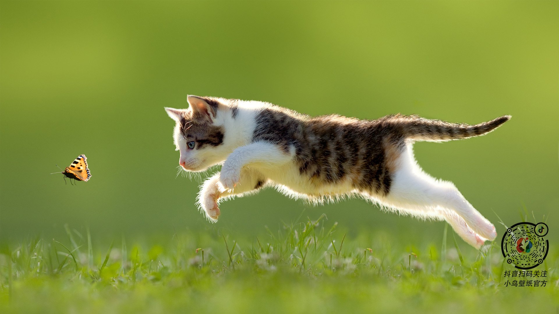 开云体育中国-双线争冠，德甲焦点战激战正酣，雄鹿火力压制森林狼显霸气