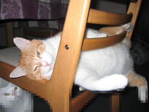 马丁内利梅开二度引爆锋线,法国立体火力全面压制威尔士